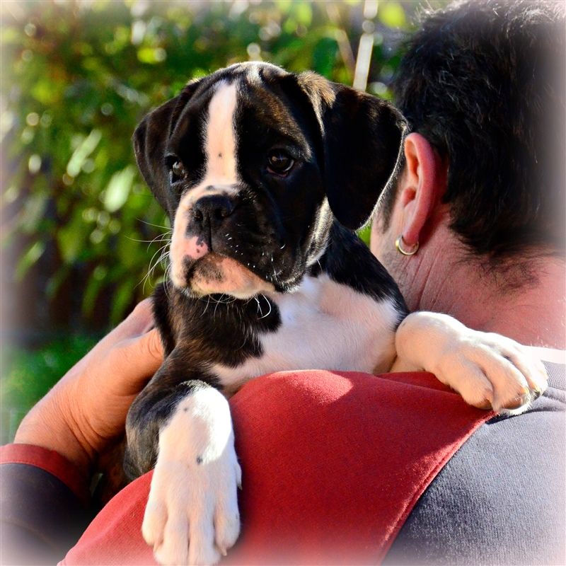 9 weeks